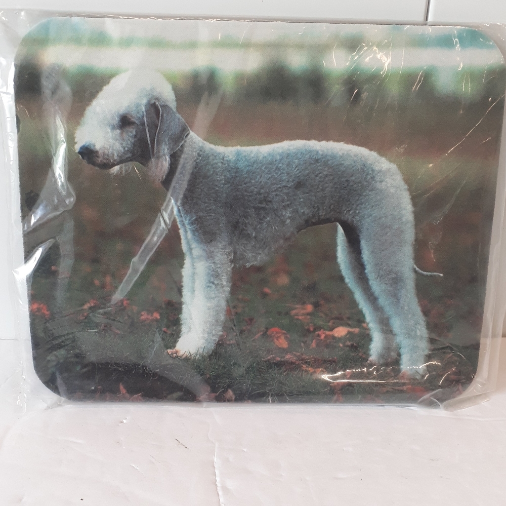 Sold Out Not For Sale